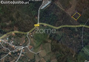Terreno Rustico Em Escariz São Martinho, Vila...