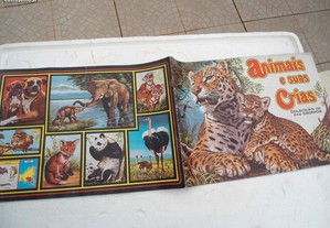 imagem_3
