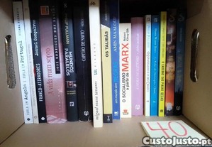 imagem_1