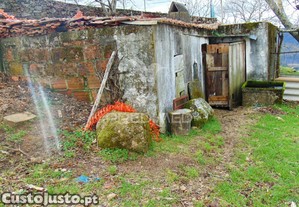imagem_10