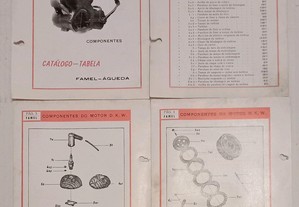 Antigo Catálogo (motor) Famel DKW (RARO)