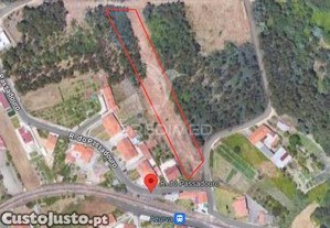 imagem_8
