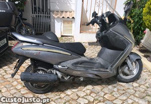 imagem_3