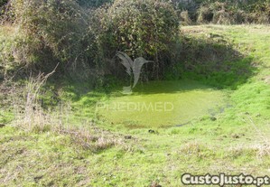 imagem_10