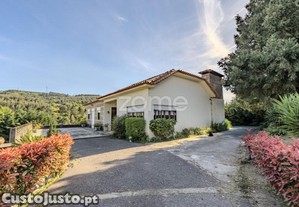 Propriedade Privada Com 11.000M² Em Guimarães