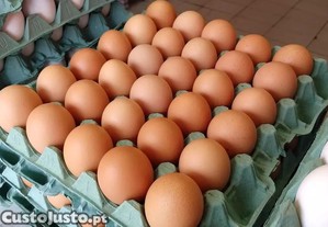 Ovos galados