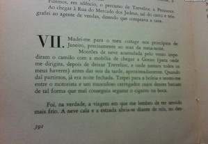 imagem_8