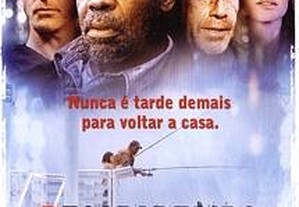 Desaparecido na América (2005) Danny Glover