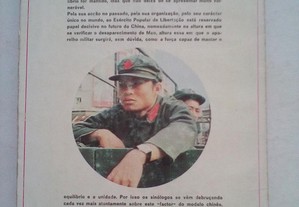 imagem_7