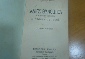 imagem_2