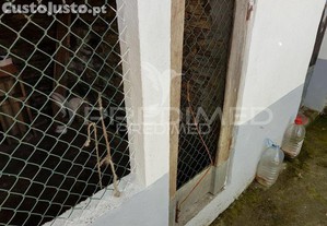 imagem_23