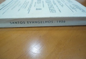 imagem_4