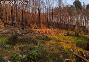 Terreno Urbano Em Melres