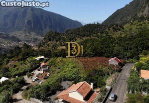 imagem_11