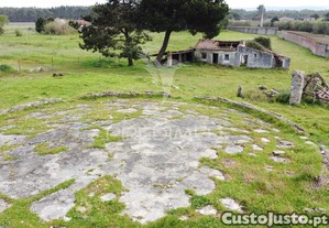 imagem_6