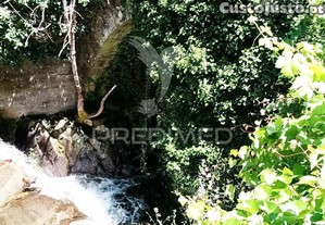 imagem_21