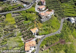 imagem_8