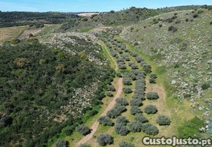 Terreno em Veiga de Lila de 72000,00 m