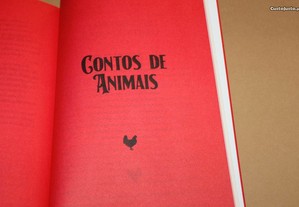 imagem_8