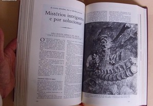 imagem_6