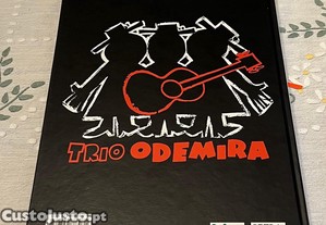 imagem_4