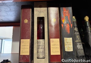imagem_1