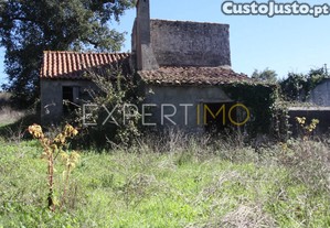 imagem_13