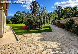 imagem_24