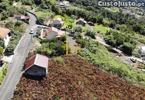 imagem_13