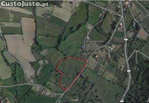 Terreno em Madalena e Samaiões de 19500,00 m²