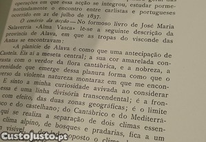 imagem_9