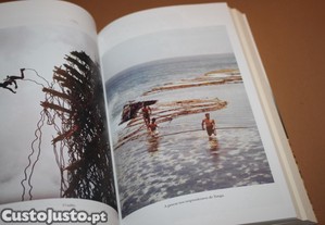 imagem_9