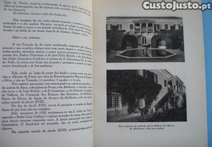 imagem_4