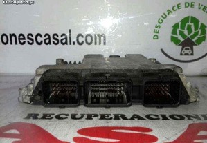 imagem_5