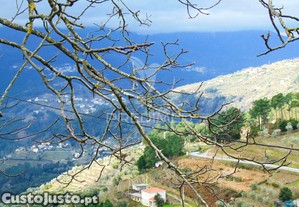 imagem_12