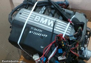 Motor Bmw X5 (E53)