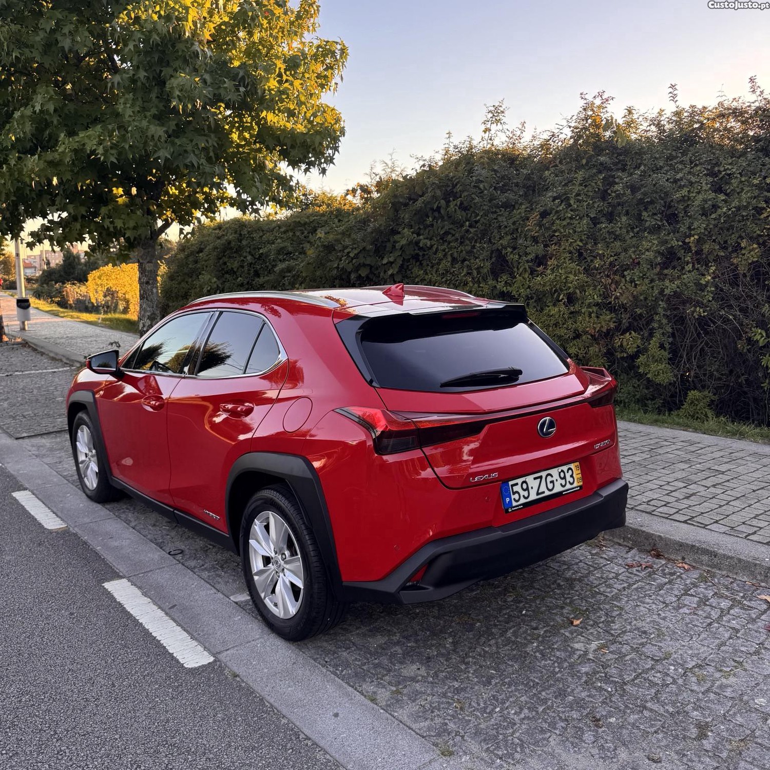 Lexus  UX 250H - 19 — photo 5