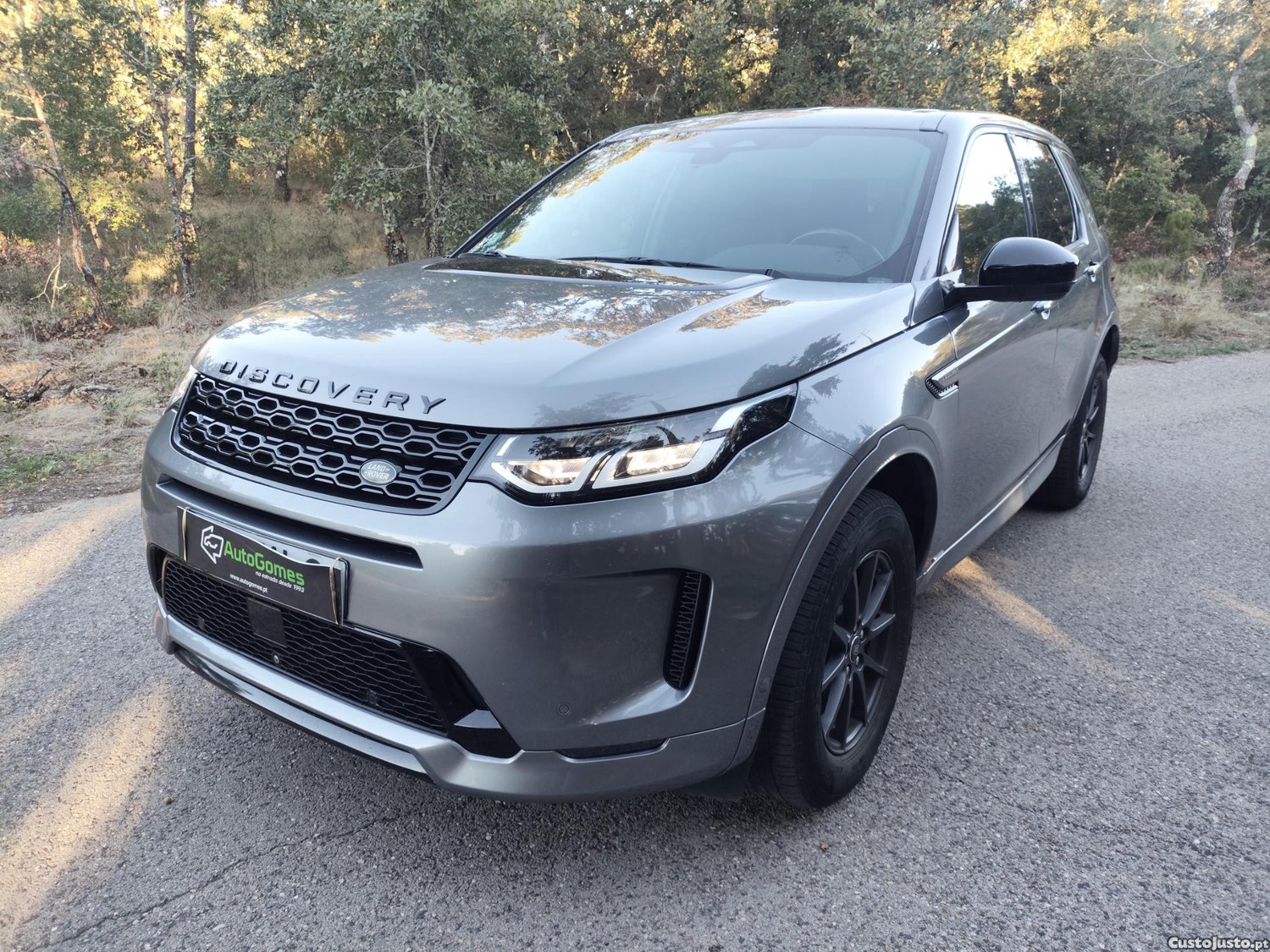 Land Rover Discovery Discovery Sport 2.0 D165 R-Dynamic S - 21 — photo 3