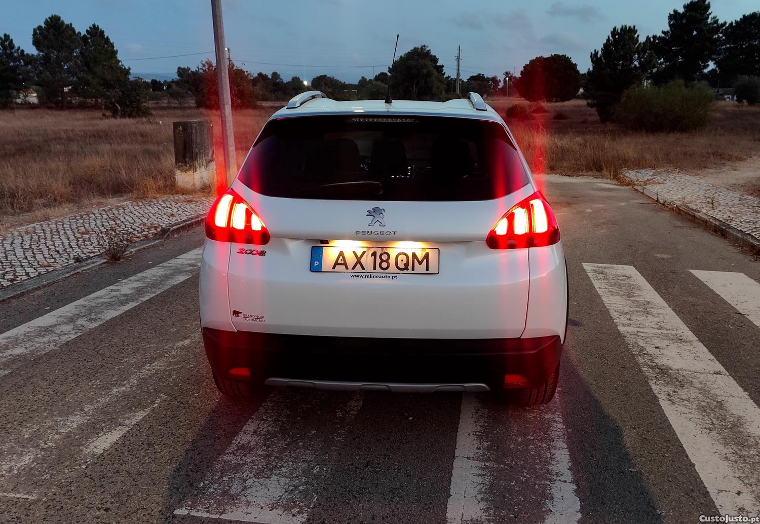 Peugeot 2008 1.6 Diesel 110cv — photo 3