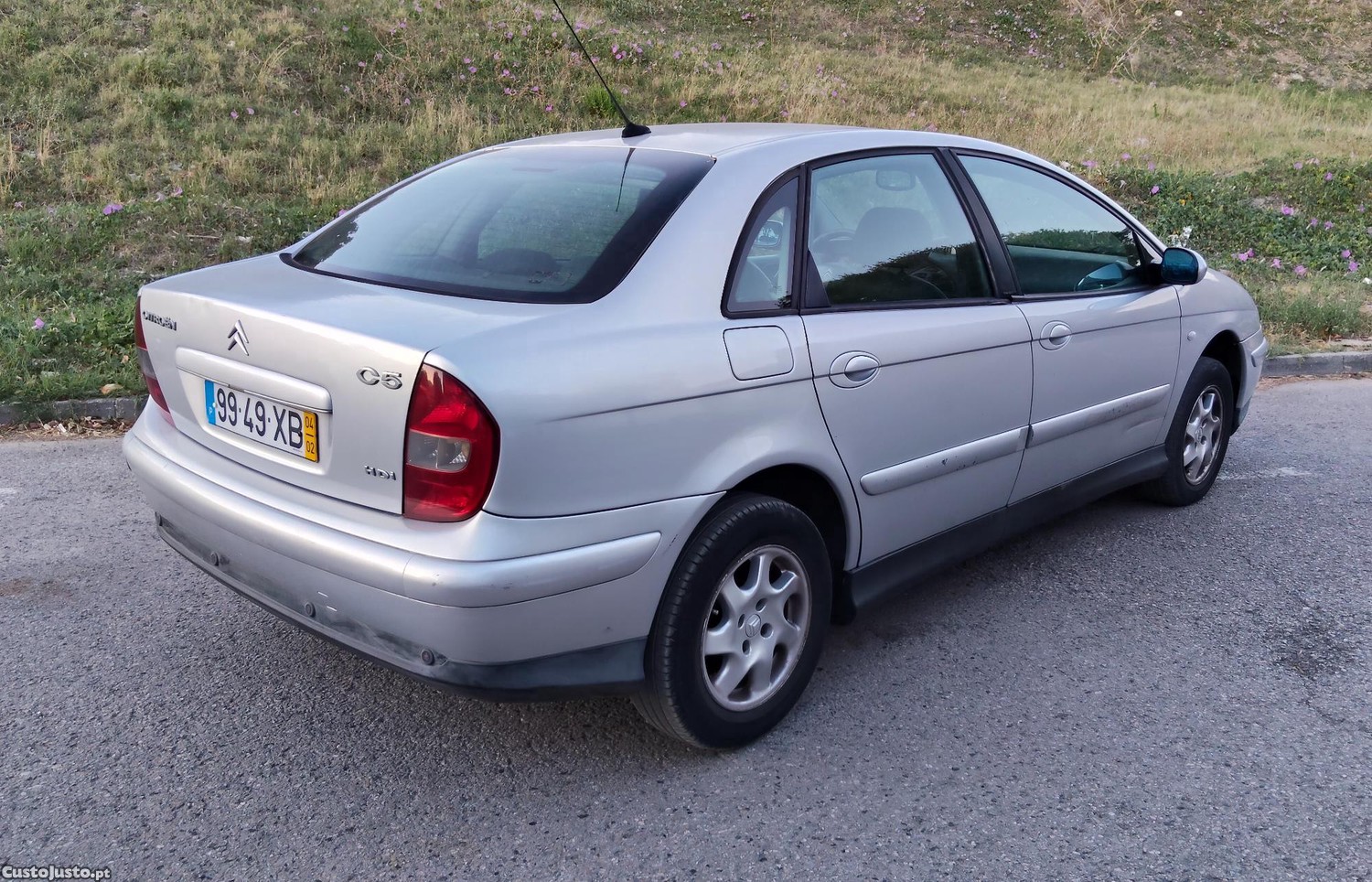 Citroën C5 2.0 HDI diesel - 05 foto 4