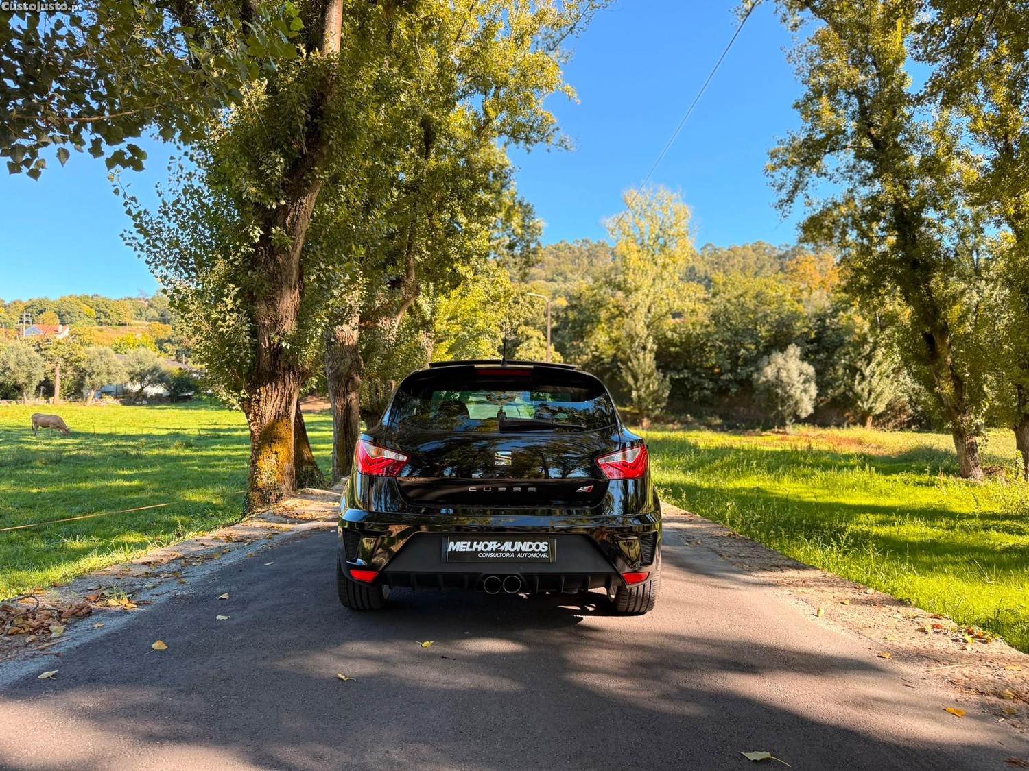 Seat Ibiza 1.8 TSI Cupra - 16 — photo 3