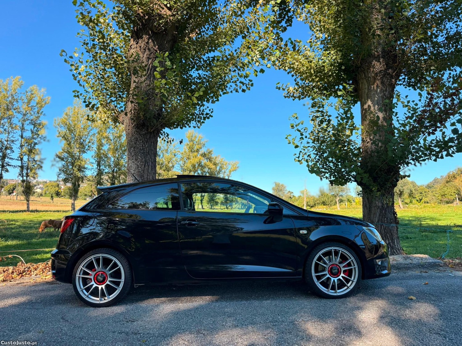 Seat Ibiza 1.8 TSI Cupra - 16 — photo 5