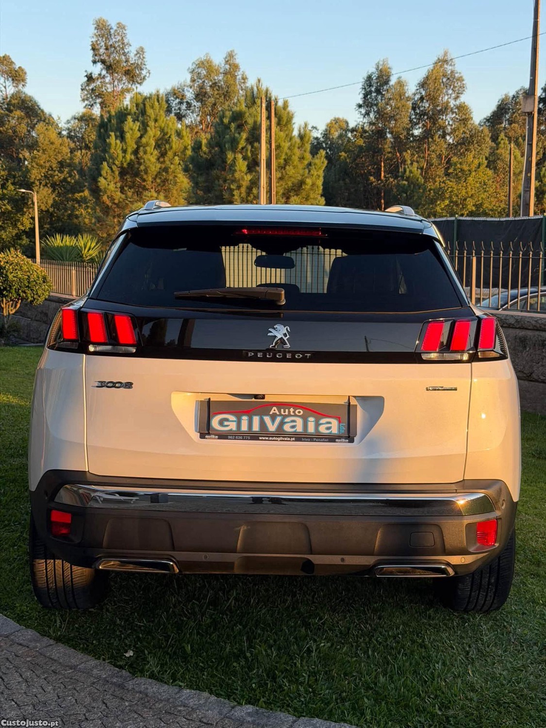 Peugeot 3008 1.5 BLUEHDI GT LINE - 19 — photo 5