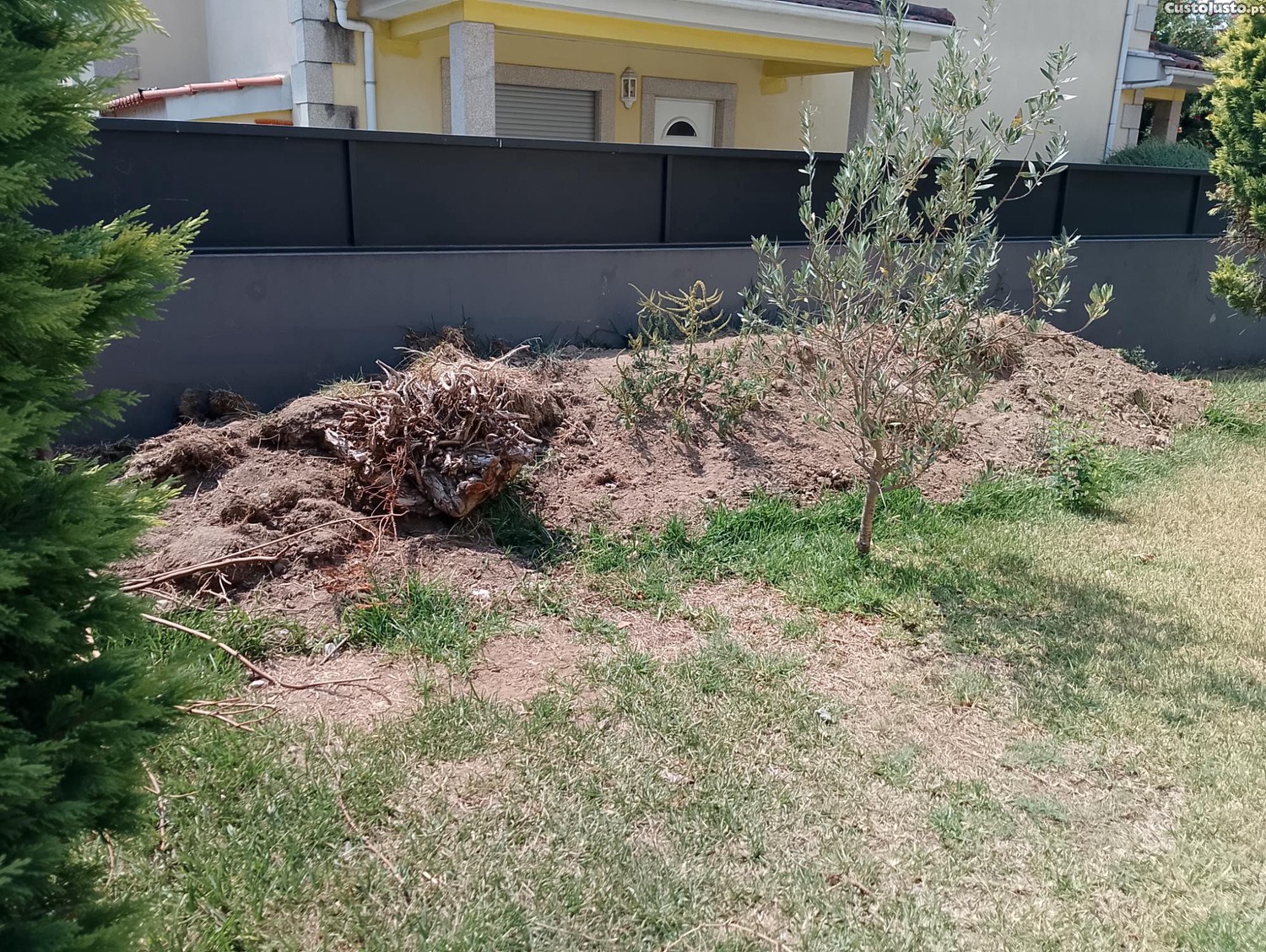 Terra e entulho