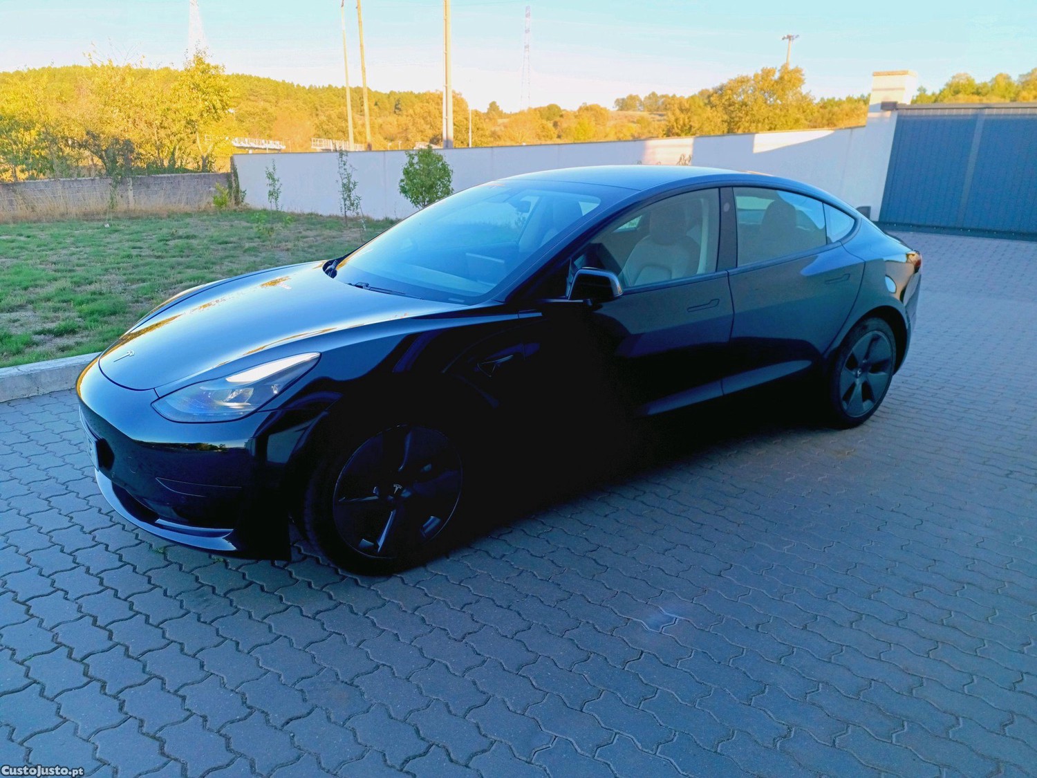 Tesla Model 3 Standard Range RWD - 21 — photo 3