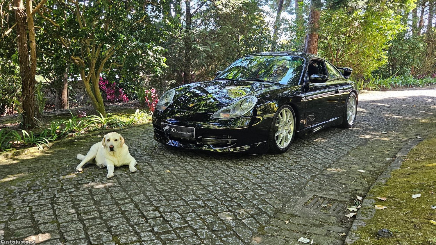 Porsche 996 .1 GT3 Clubsport — fotografia 5
