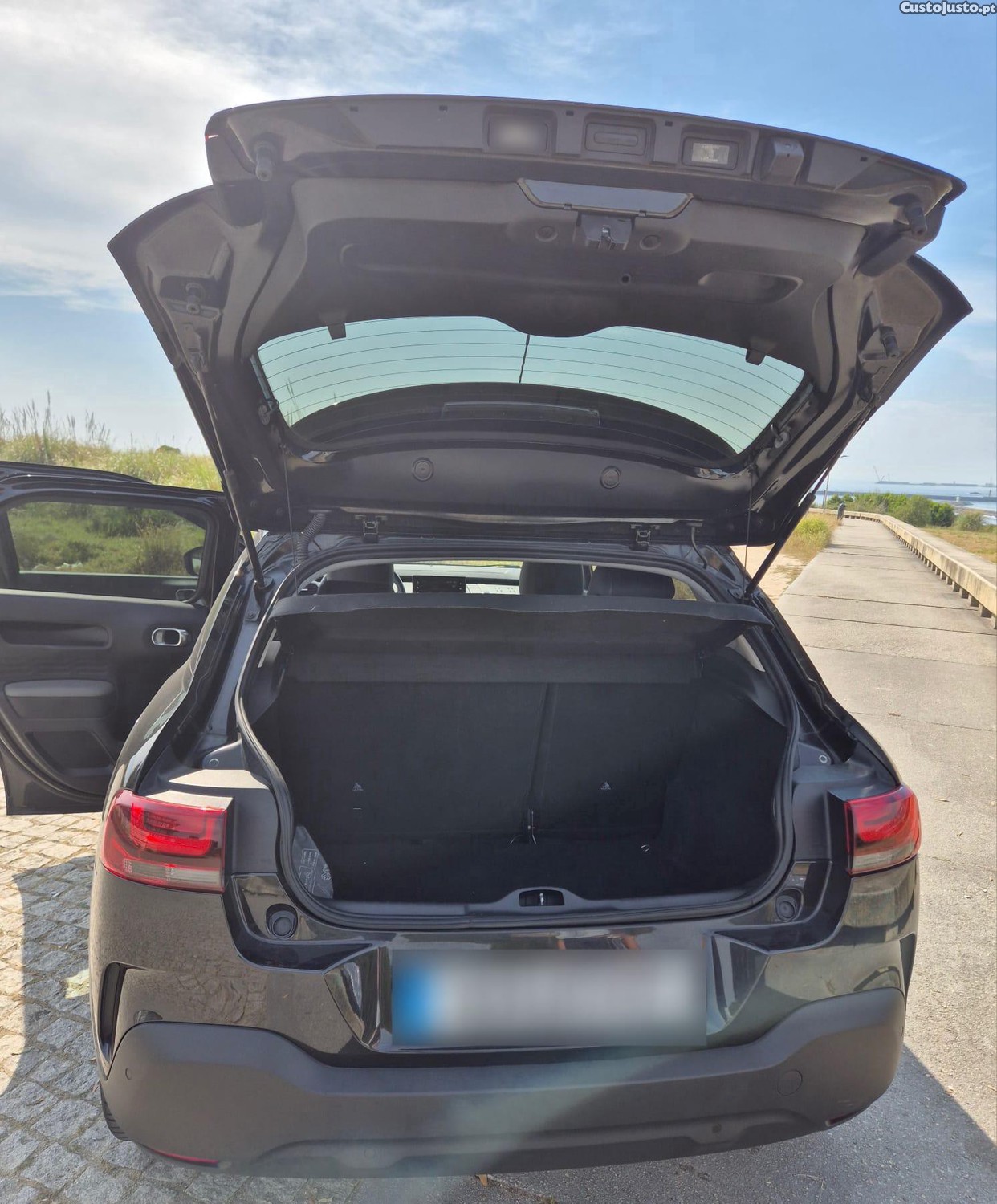 Citroën C4 Cactus — fotografia 6
