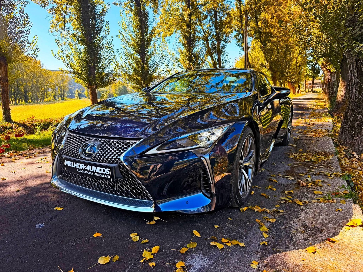 Lexus  Luxury - 17 foto 2
