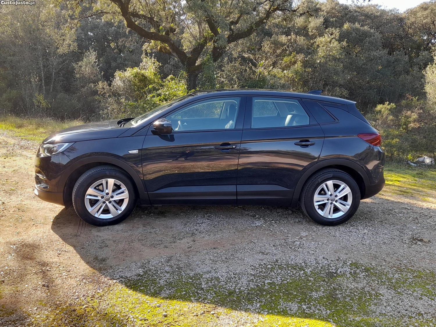 Opel Grandland X Business Edition 1.2 130cv Turbo 2019 — fotografia 7