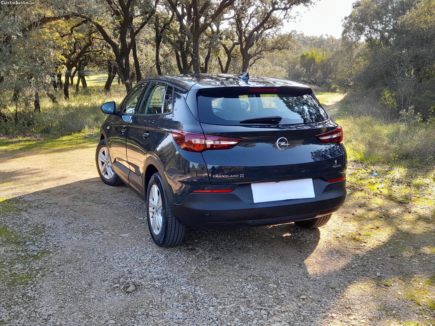 Opel Grandland X Business Edition 1.2 130cv Turbo 2019 — fotografia 5